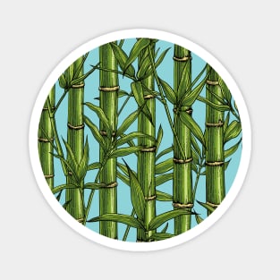 Bamboo forest on light blue Magnet